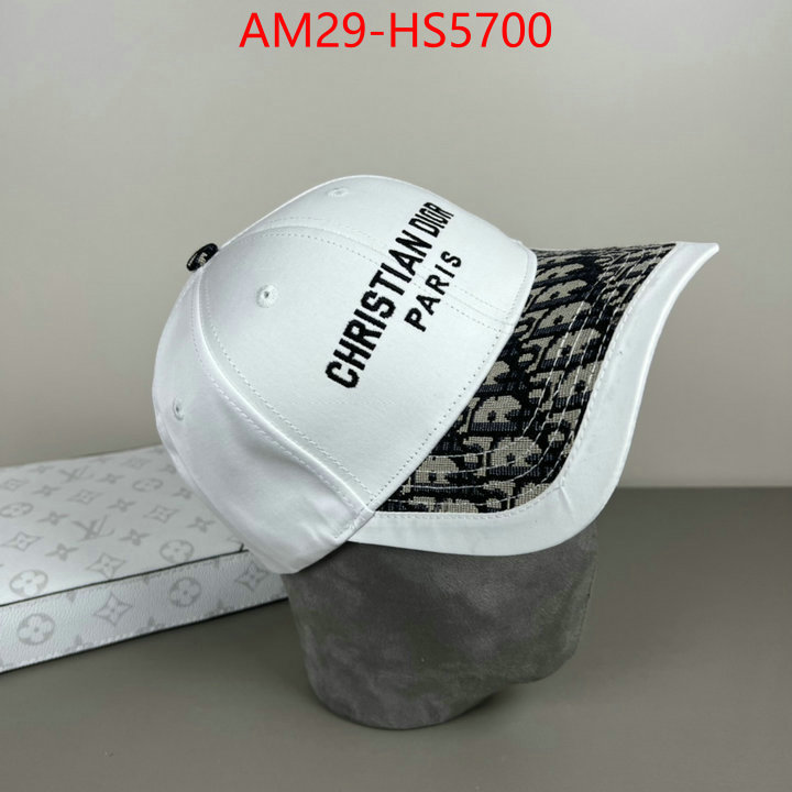 top perfect fake ID: HS5700