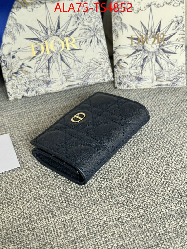ID: TS4852 $: 75USD,