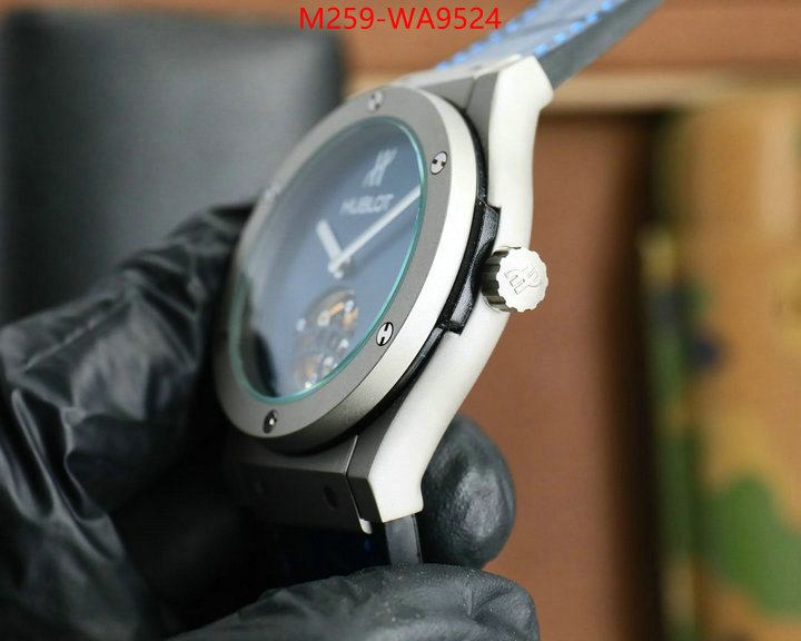 ID: WA9524