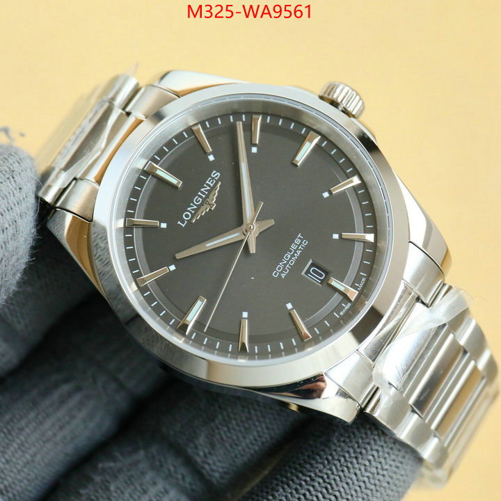 ID: WA9561