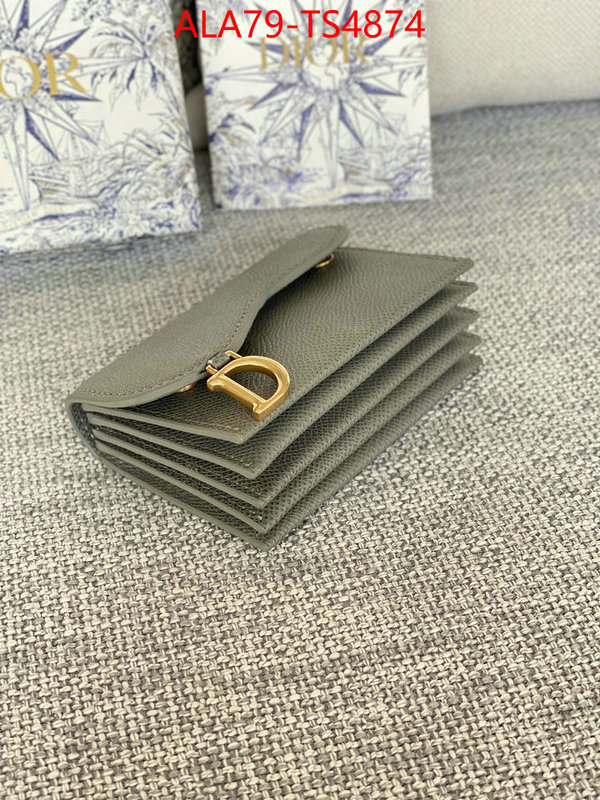 ID: TS4874 $: 79USD,