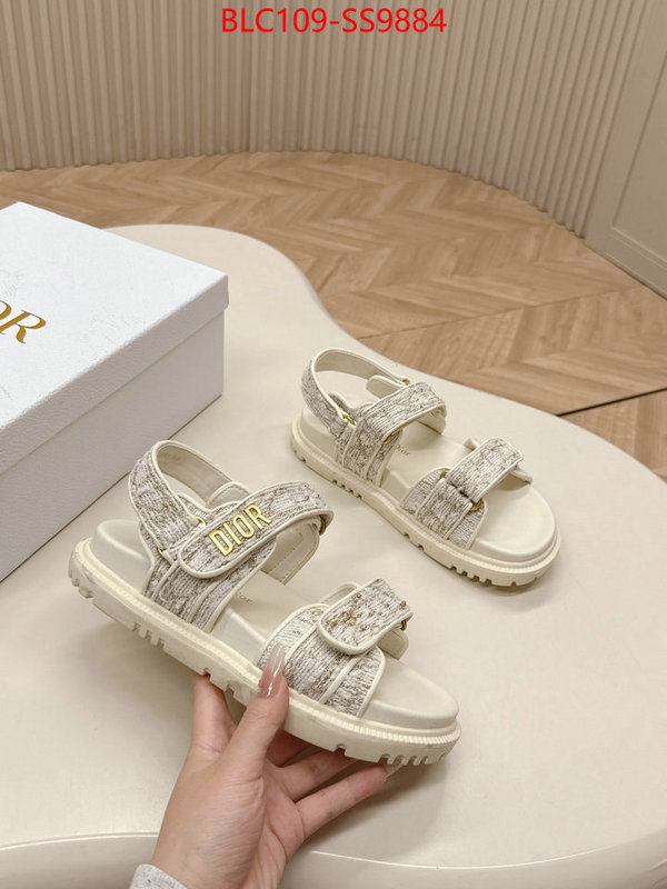 Women Shoes-Dior wholesale 2024 replica ID: SS9884 $: 109USD