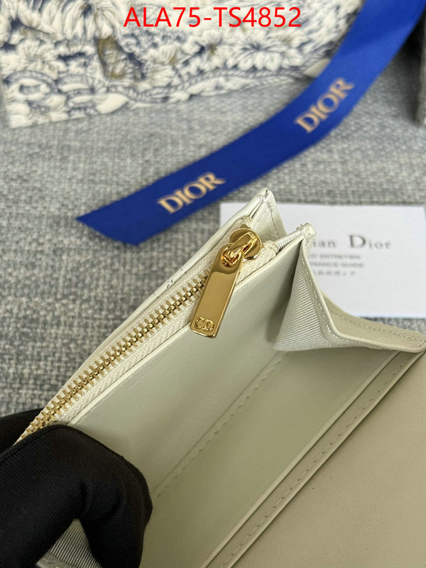 ID: TS4852 $: 75USD,