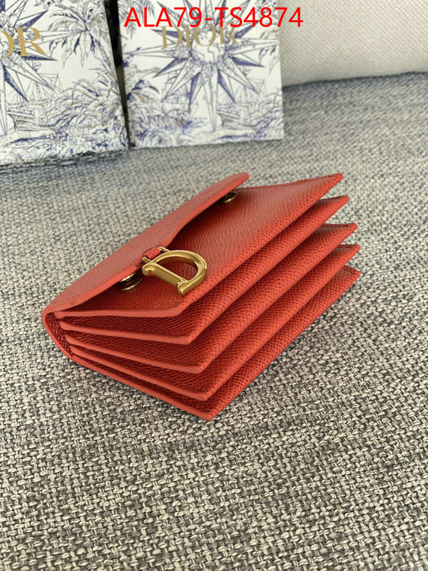 ID: TS4874 $: 79USD,