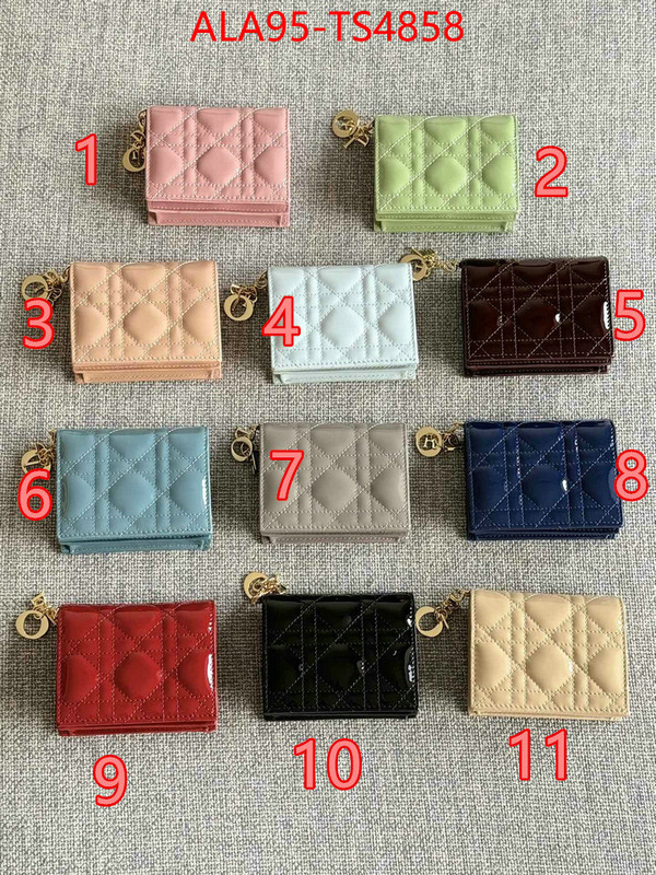 ID: TS4858 $: 95USD,