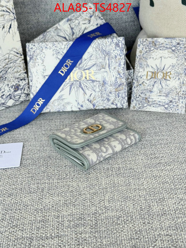 ID: TS4827 $: 85USD,