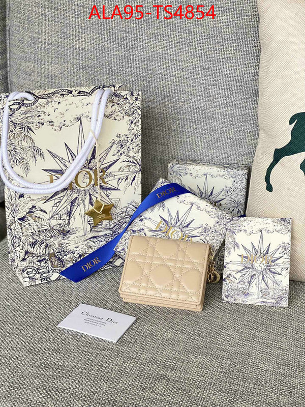 ID: TS4854 $: 95USD,