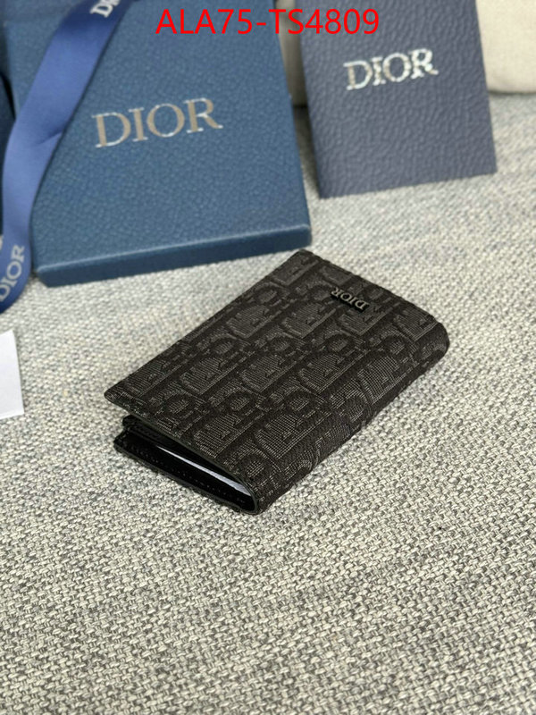 ID: TS4809 $: 75USD,