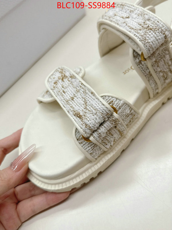 Women Shoes-Dior wholesale 2024 replica ID: SS9884 $: 109USD