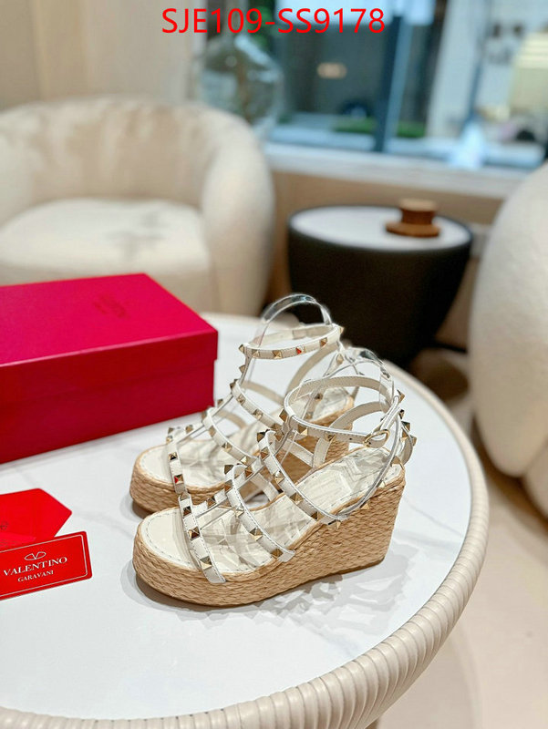 Women Shoes-Valentino supplier in china ID: SS9178 $: 109USD