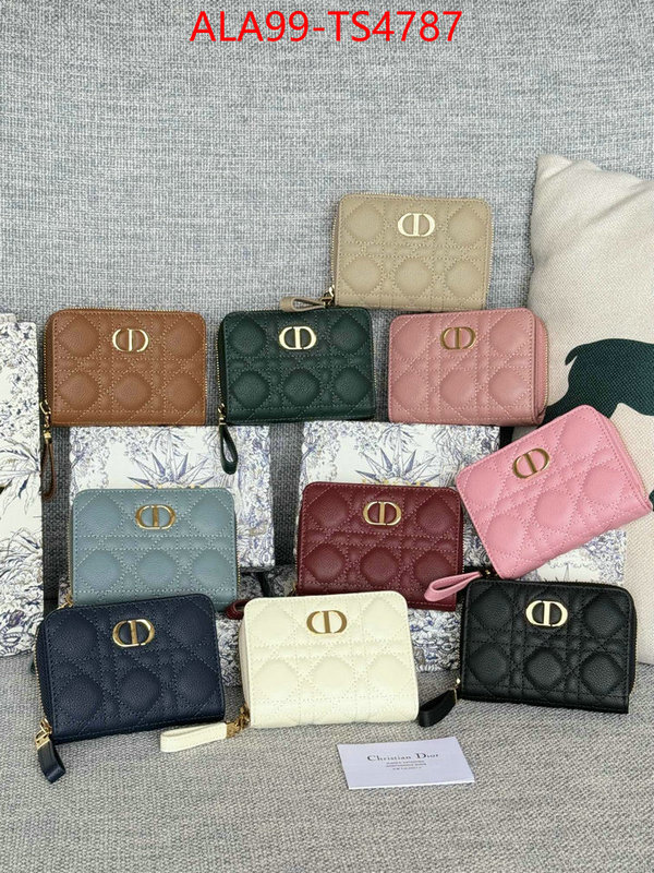 ID: TS4787 $: 99USD,