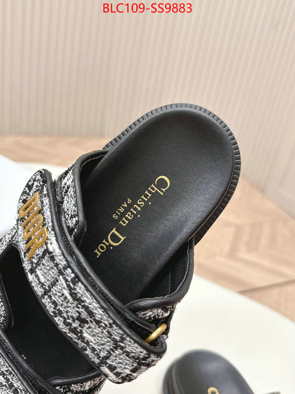 Women Shoes-Dior for sale online ID: SS9883 $: 109USD