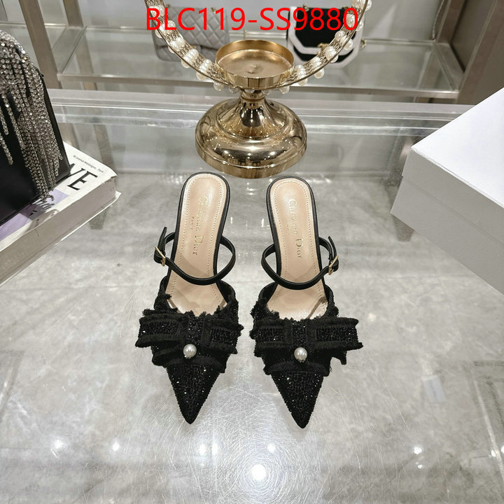 Women Shoes-Dior store ID: SS9880 $: 119USD
