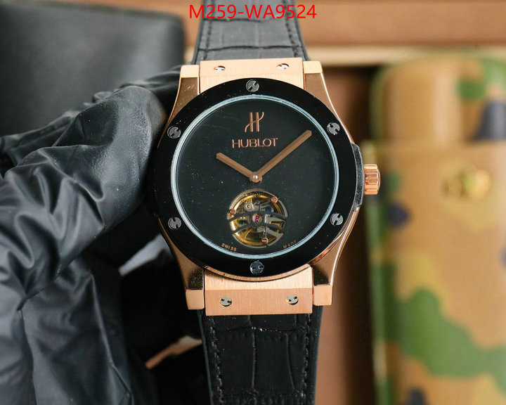 ID: WA9524
