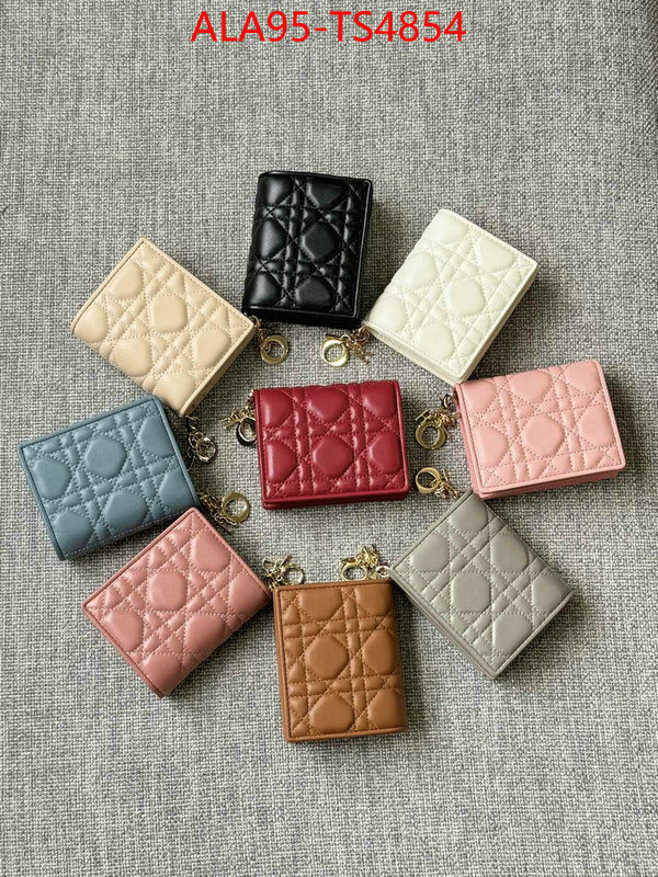 ID: TS4854 $: 95USD,