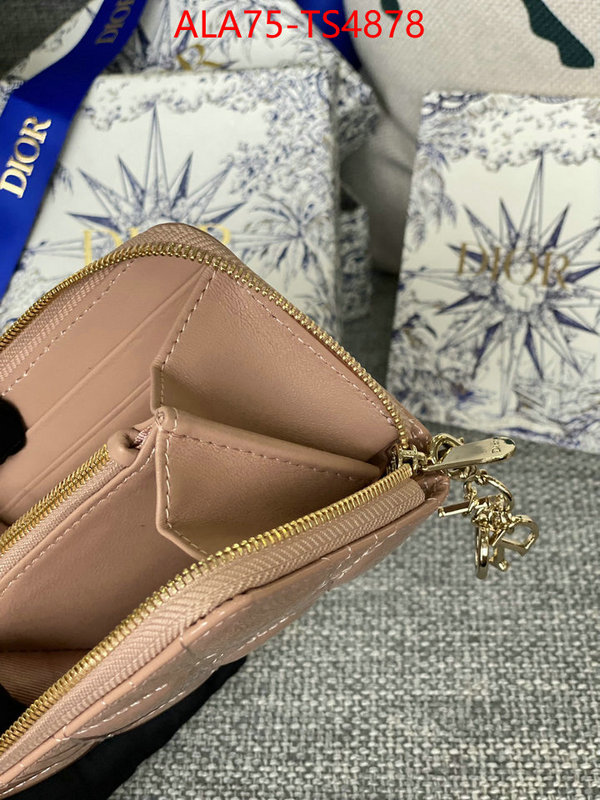 ID: TS4878 $: 75USD,
