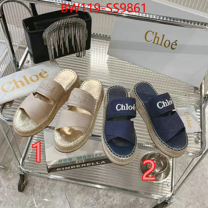 Women Shoes-Chloe high quality replica designer ID: SS9861 $: 119USD
