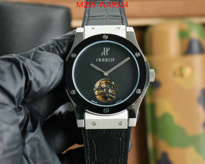 ID: WA9524