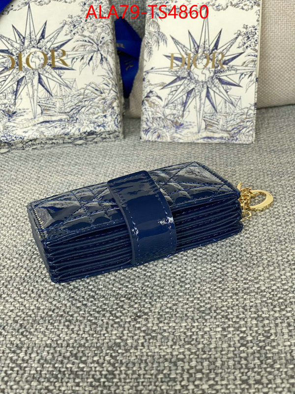 ID: TS4860 $: 79USD,