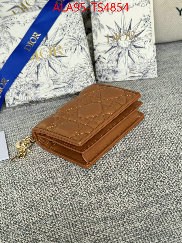 ID: TS4854 $: 95USD,