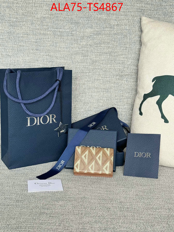 ID: TS4867 $: 75USD,
