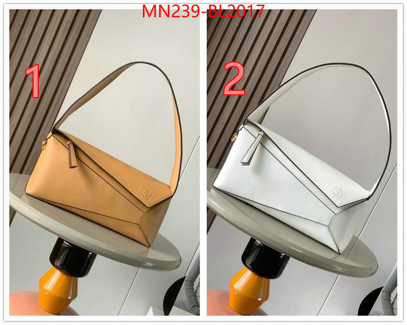 Loewe Bags(TOP)-Handbag- ID: BL2017 $: 239USD,