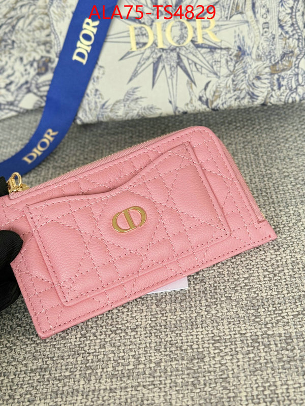 ID: TS4829 $: 75USD,