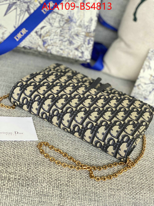 ID: BS4813 $: 109USD,