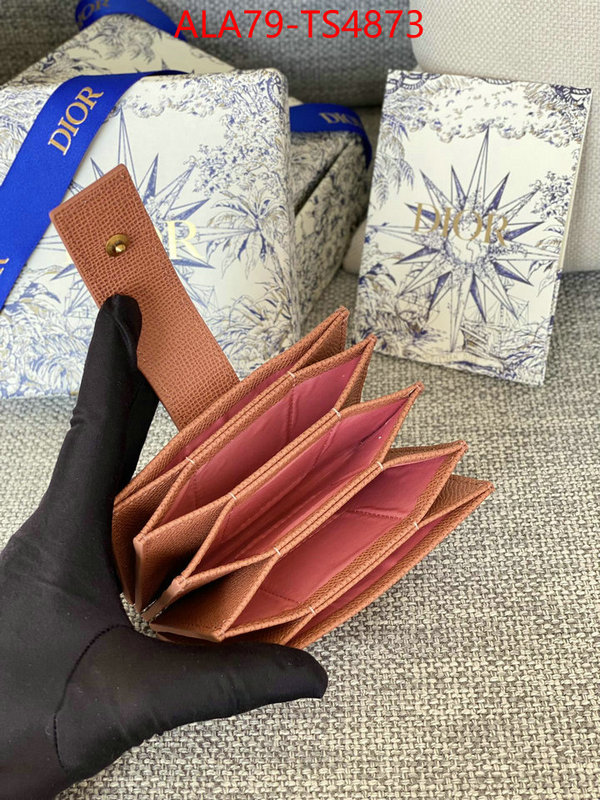 ID: TS4873 $: 79USD,