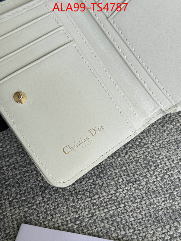 ID: TS4787 $: 99USD,