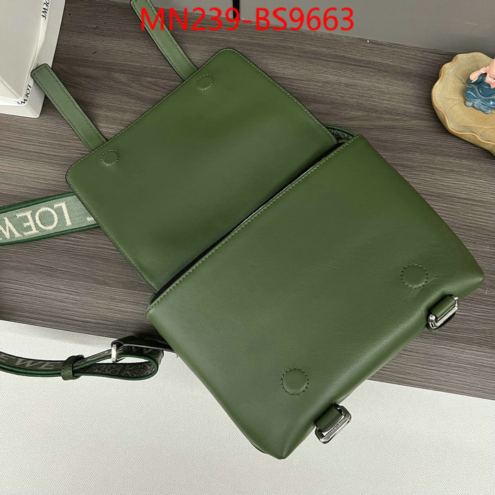 Loewe Bags(TOP)-Crossbody- luxury cheap ID: BS9663 $: 239USD,
