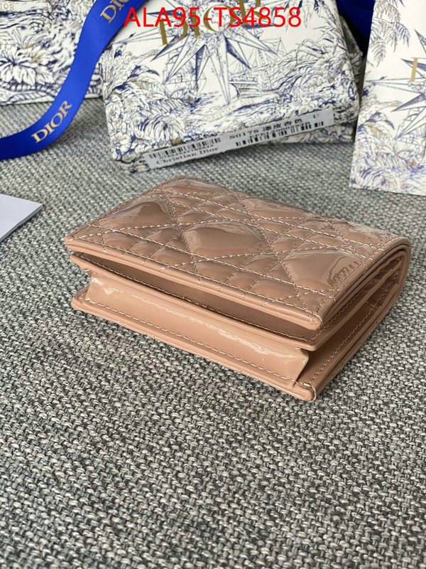 ID: TS4858 $: 95USD,