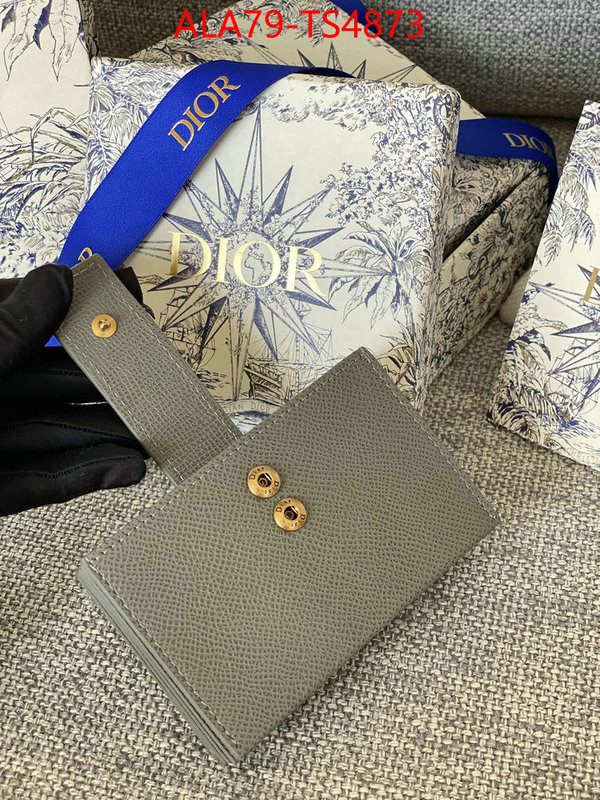 ID: TS4873 $: 79USD,
