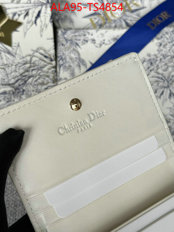 ID: TS4854 $: 95USD,