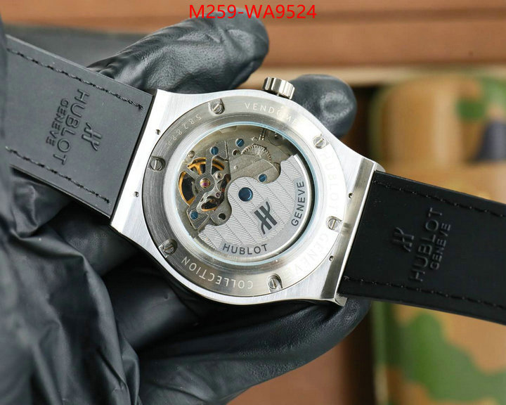ID: WA9524