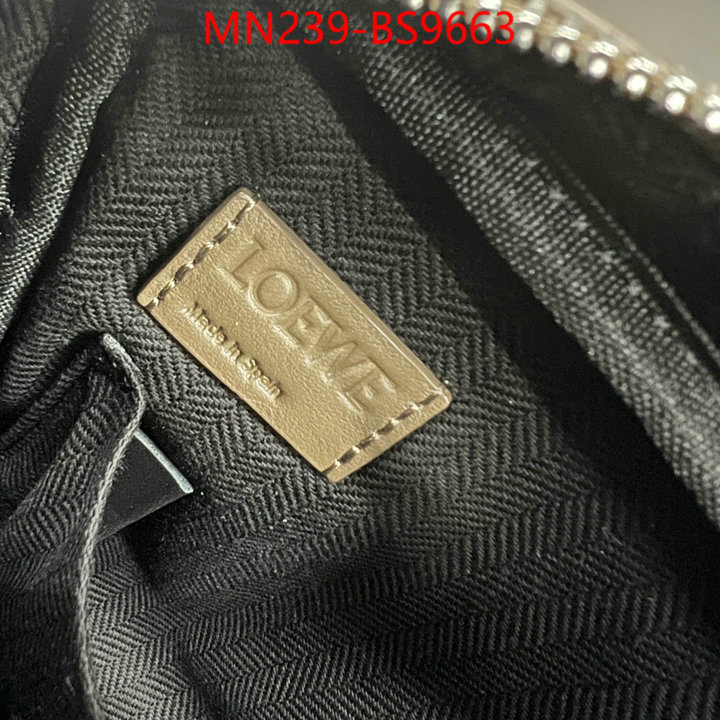 Loewe Bags(TOP)-Crossbody- luxury cheap ID: BS9663 $: 239USD,