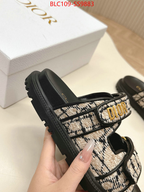 Women Shoes-Dior for sale online ID: SS9883 $: 109USD