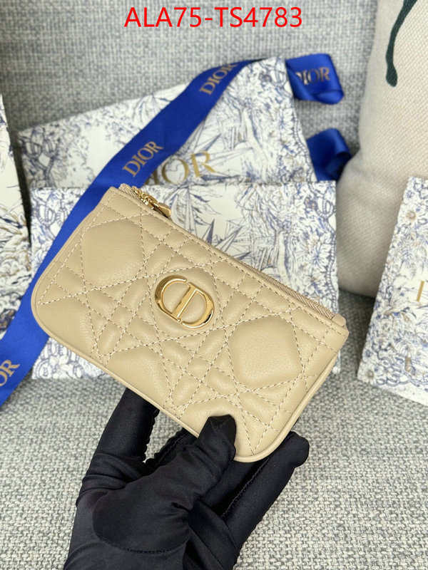 ID: TS4783 $: 75USD,