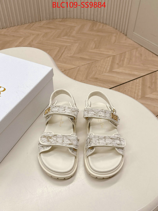 Women Shoes-Dior wholesale 2024 replica ID: SS9884 $: 109USD