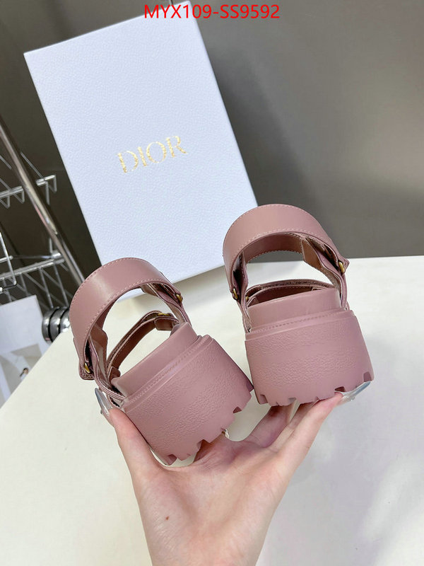 Women Shoes-Dior fashion designer ID: SS9592 $: 109USD