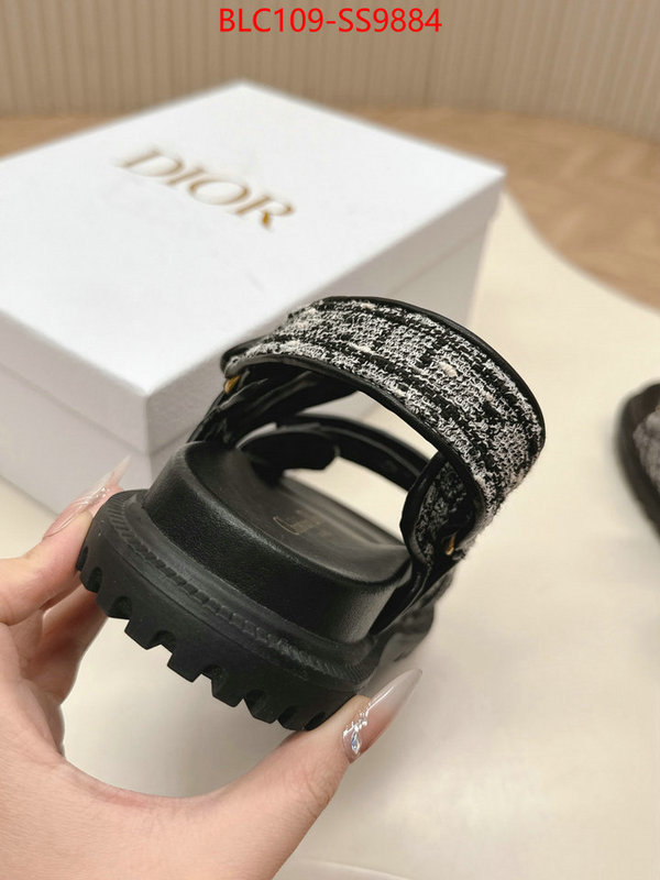 Women Shoes-Dior wholesale 2024 replica ID: SS9884 $: 109USD