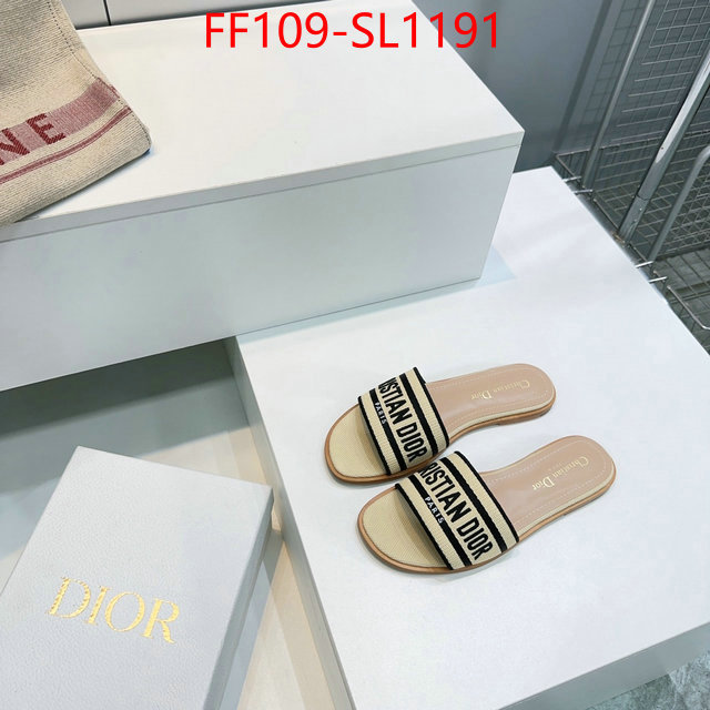 Women Shoes-Dior where to buy high quality ID: SL1191 $: 109USD