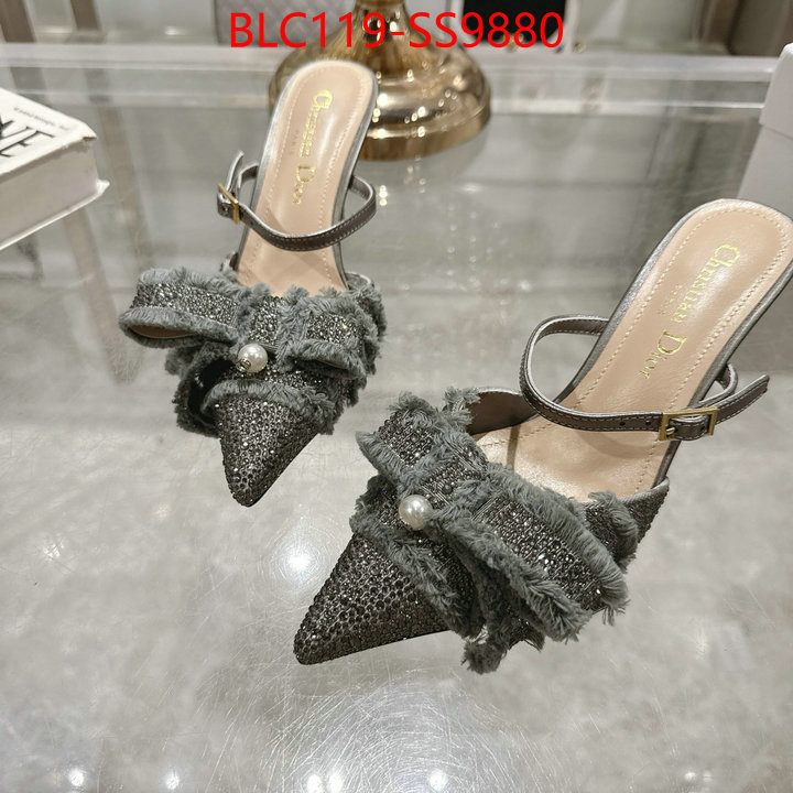 Women Shoes-Dior store ID: SS9880 $: 119USD