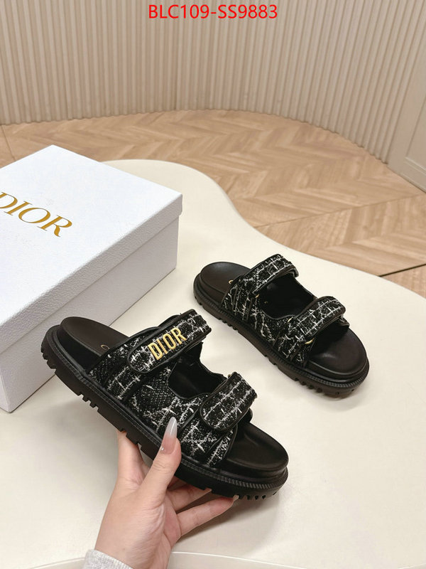 Women Shoes-Dior for sale online ID: SS9883 $: 109USD