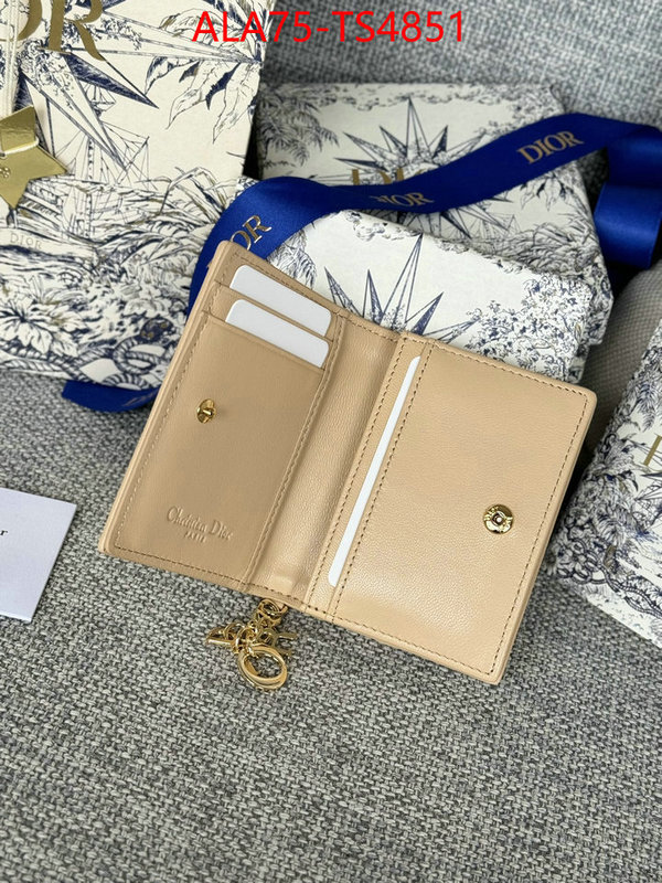 ID: TS4851 $: 75USD,