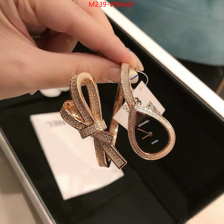 ID: WB6667
