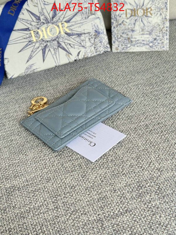 ID: TS4832 $: 75USD,