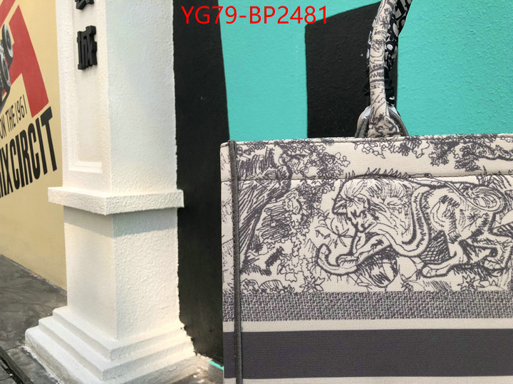 ID: BP2481