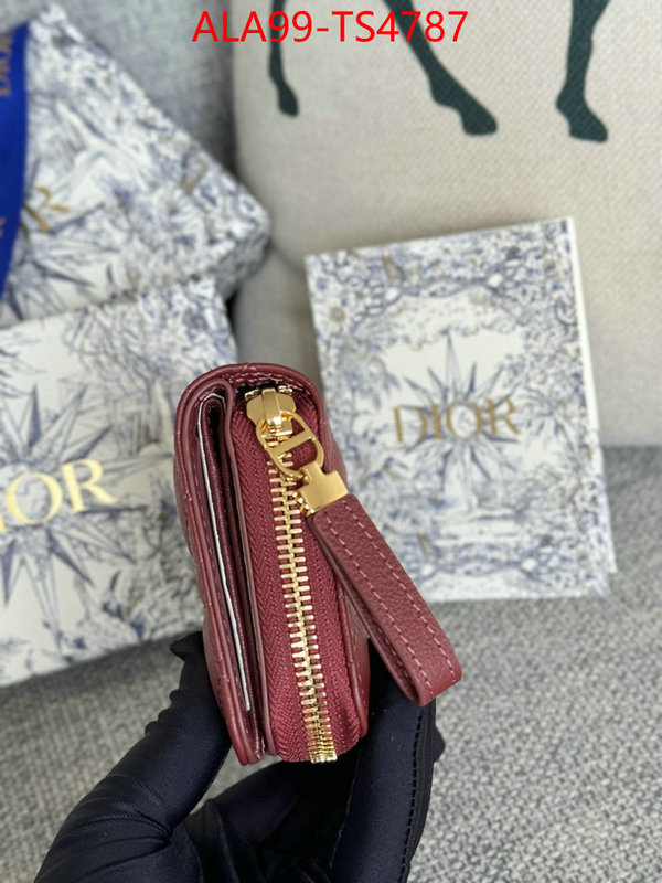 ID: TS4787 $: 99USD,