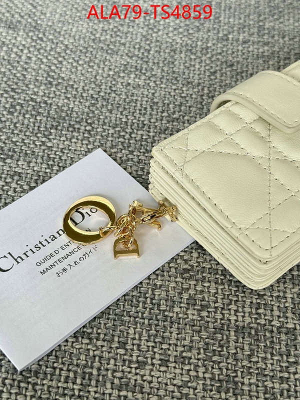 ID: TS4859 $: 79USD,